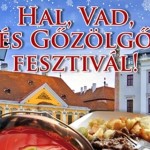 I. Hal, Vad és Gőzölgő Fesztivál Győr 2013 január 17-20