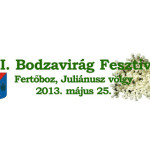 XIV. Bodzavirág Fesztivál Fertőboz 2015. május 30.