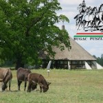 Bugaci Pásztormúzeum és Pásztorskanzen
